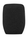 WS5