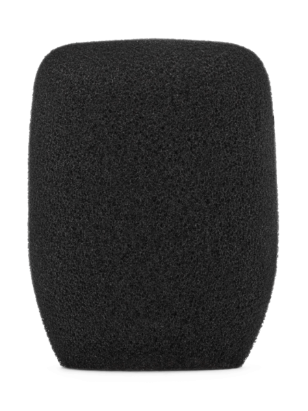 WS5