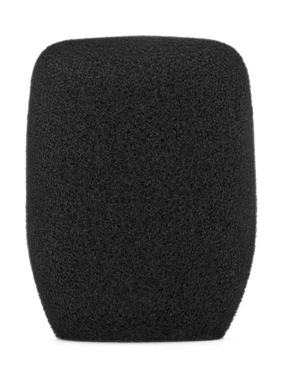 WS5
