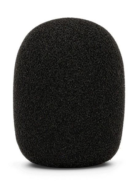 WS2