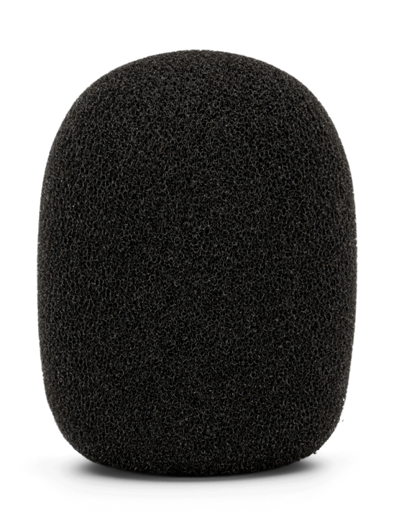WS2